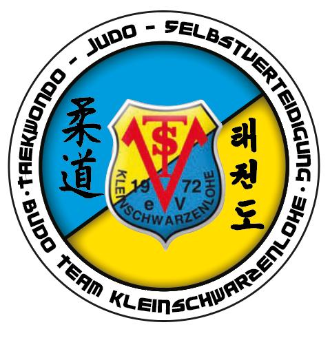 Budoteam Logo